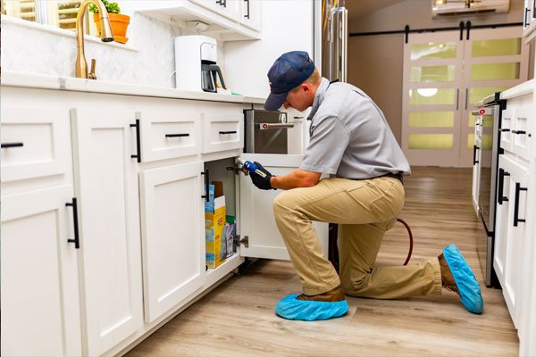 24/7 pest control near me